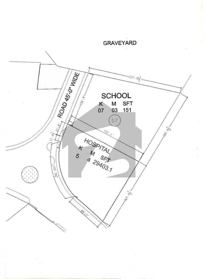 Plot