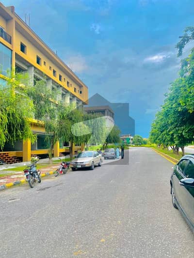 Size: 10 Kanal Block D Developed Plot With Possession