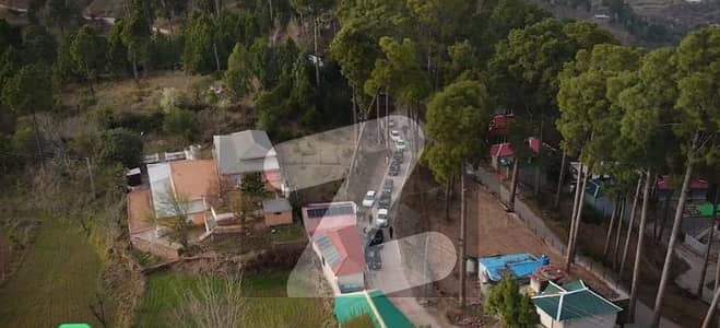 Valley View Plot For Sale