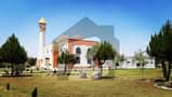 1 1