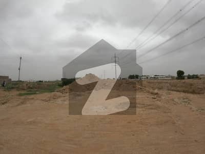 1000 Square Yards Other for sale in Jinnah Avenue