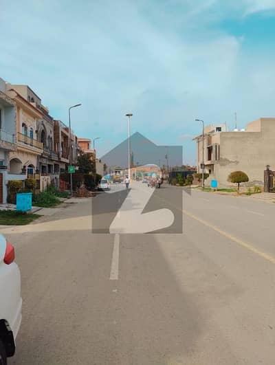 کنگز