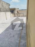 20 