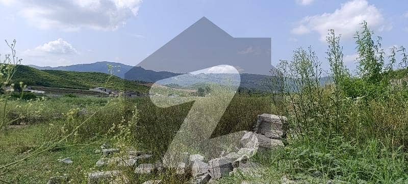 I Kanal Plot Available In D14 Islamabad I Kanal Plot Available In D14 Islamabad
