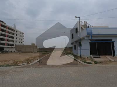 نارتھ