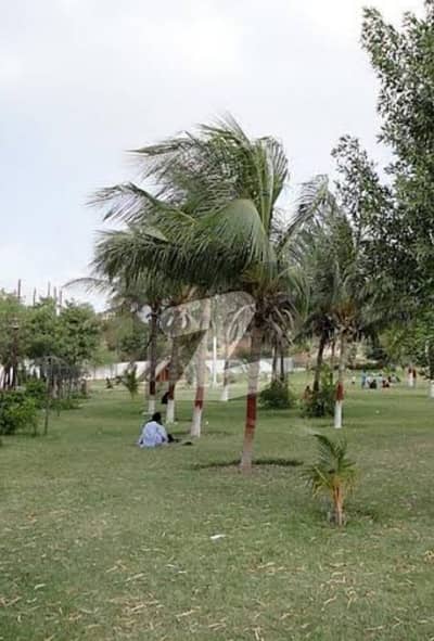 Plot For Sale