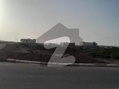 ڈی