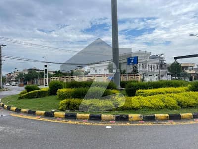 Plot
