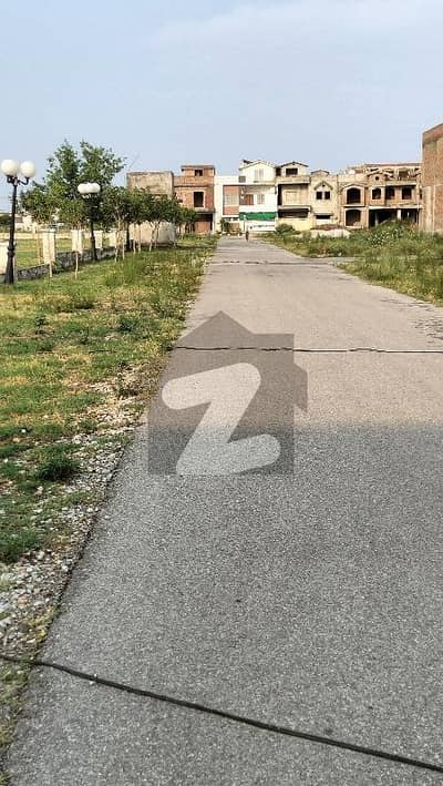 سی