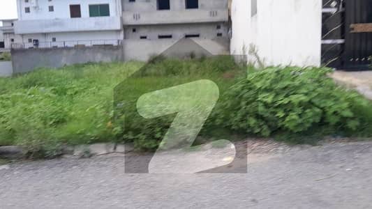 جناح