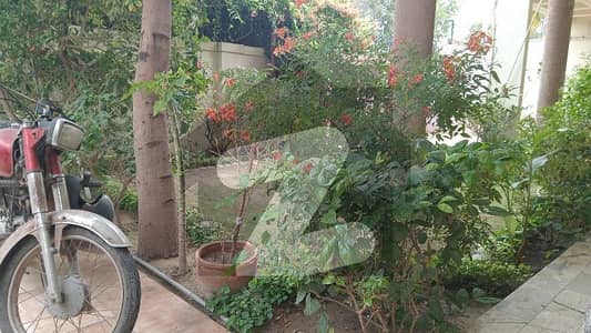 ڈی