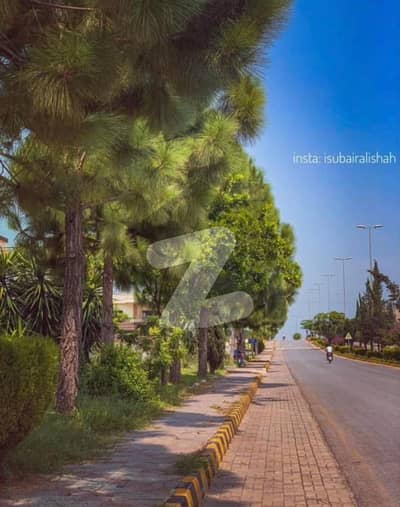 نیول