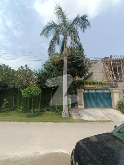 حیات