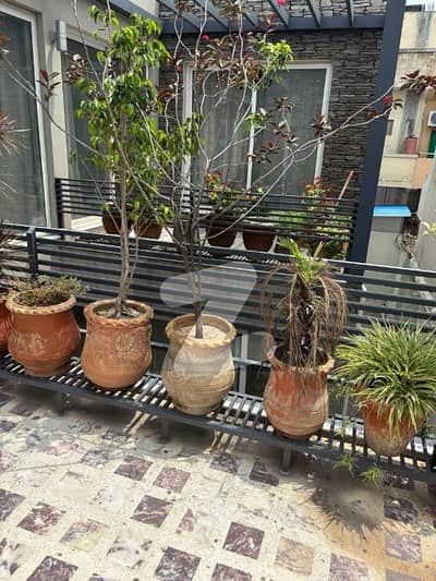 Fully Furnished House For Rent