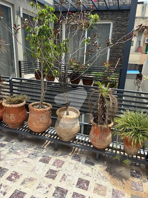 Fully Furnished House For Rent Fully Furnished House For Rent