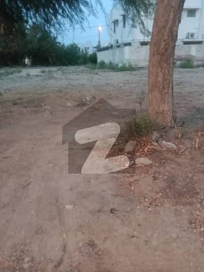 Plot