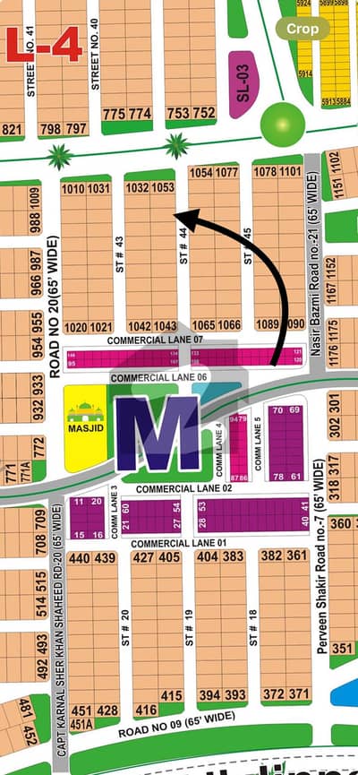 Sector
