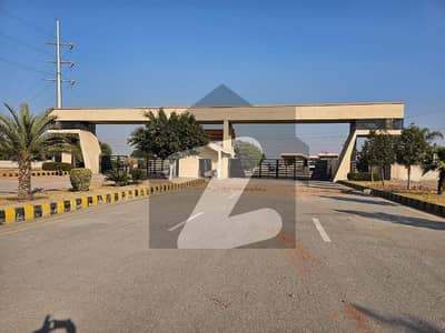 ڈی