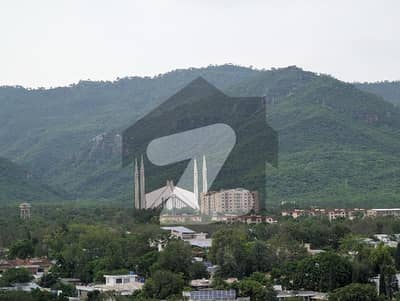 دی
