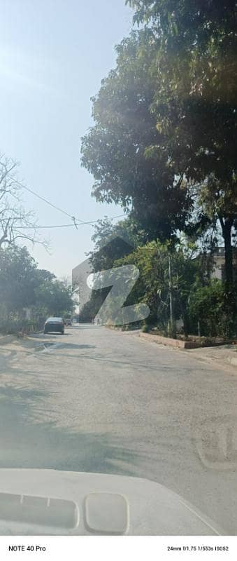 500 Square Yard Plot For Sale Beautiful Location 500 Square Yard Plot For Sale Beautiful Location
