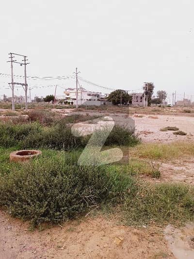 سعدی