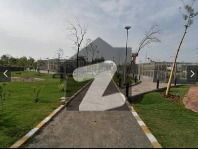 ڈی