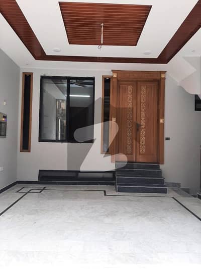 حیات