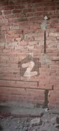 31 