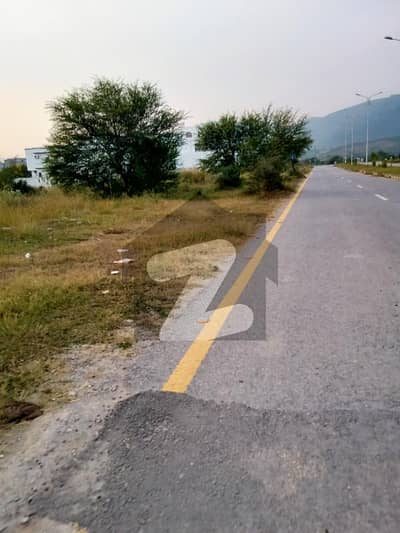 ڈی