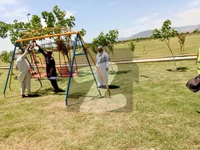 ریگی