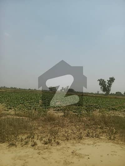 DHA