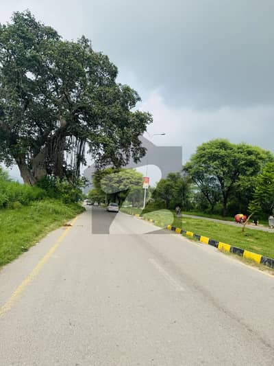 ڈی