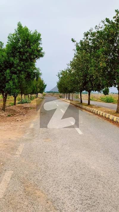 1 Kanal Corner Plot Available for sale