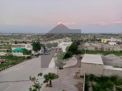 زمر
