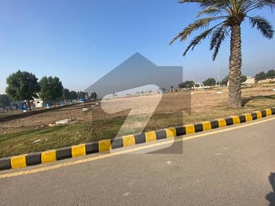 سٹی