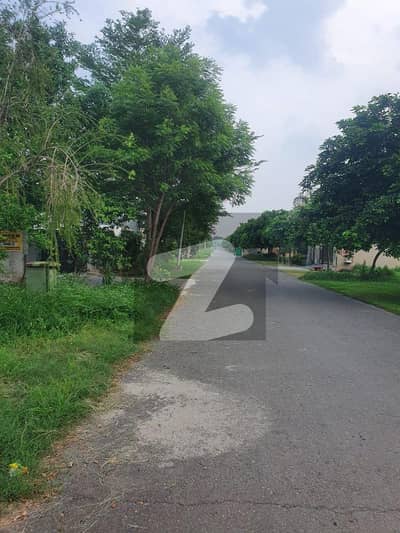 NEAR