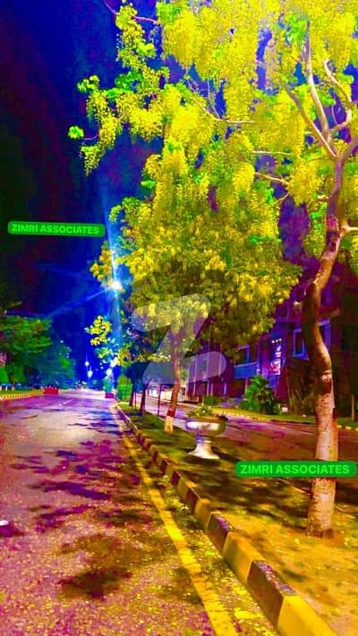 ٹیلی