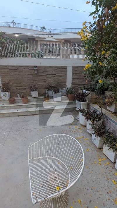 نارتھ