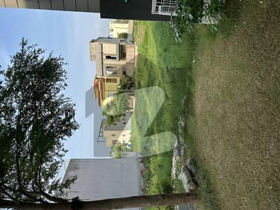 ڈی