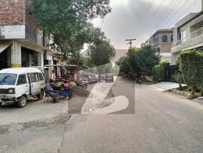 ٹی