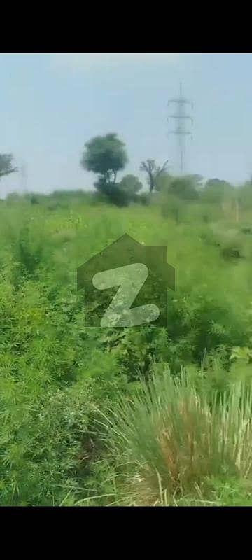 چک بیلی روڈ راولپنڈی میں 14 کنال رہائشی پلاٹ 4.2 کروڑ میں برائے فروخت۔