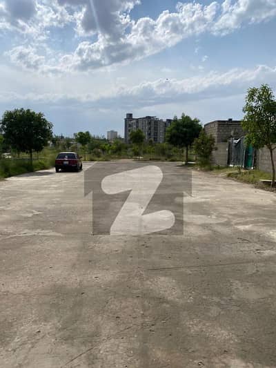 زمر