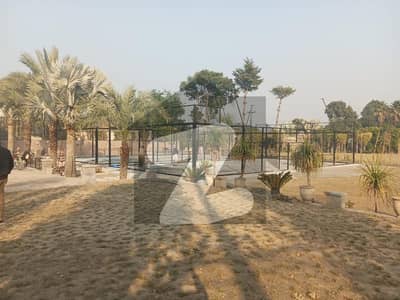 بیدیاں