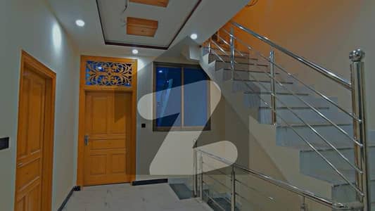 حیات