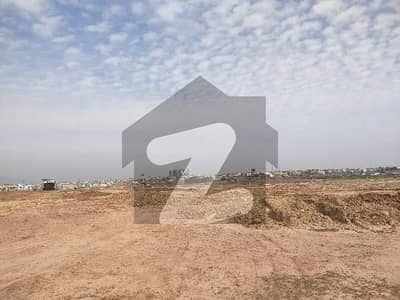 جی