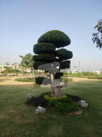 ڈی ایچ اے فیز 5 - سیکٹر ایچ ڈی ایچ اے ڈیفینس فیز 5,ڈی ایچ اے ڈیفینس,اسلام آباد میں 1 کنال رہائشی پلاٹ 2.85 کروڑ میں برائے فروخت۔