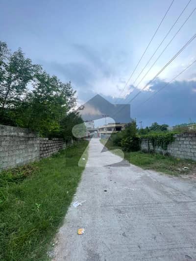 راجہ