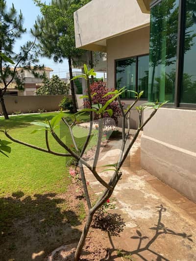 Luxurious 30 Marla House For Sale