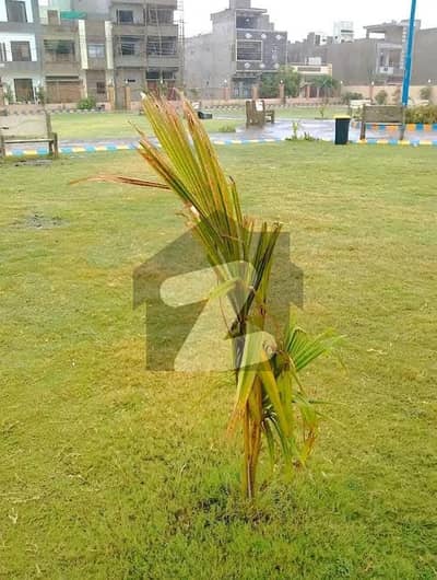 پاکستان مرچنٹ نیوی سوسائٹی سکیم 33 - سیکٹر 15-A,سکیم 33,کراچی میں 10 مرلہ رہائشی پلاٹ 3.23 کروڑ میں برائے فروخت۔ پاکستان مرچنٹ نیوی سوسائٹی سکیم 33 - سیکٹر 15-A,سکیم 33,کراچی میں 10 مرلہ رہائشی پلاٹ 3.23 کروڑ میں برائے فروخت۔
