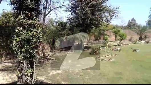 بیدیاں